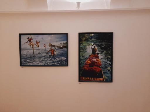 عکس خانه لوسی