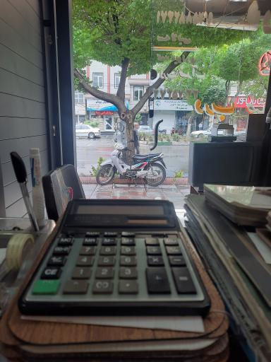 عکس درب ضدسرقت رضوی