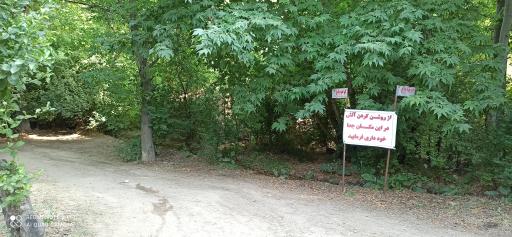 عکس باغ تفریحی سرهنگ