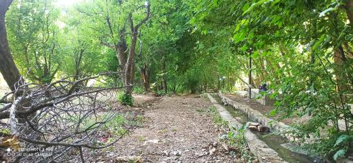 عکس باغ تفریحی سرهنگ