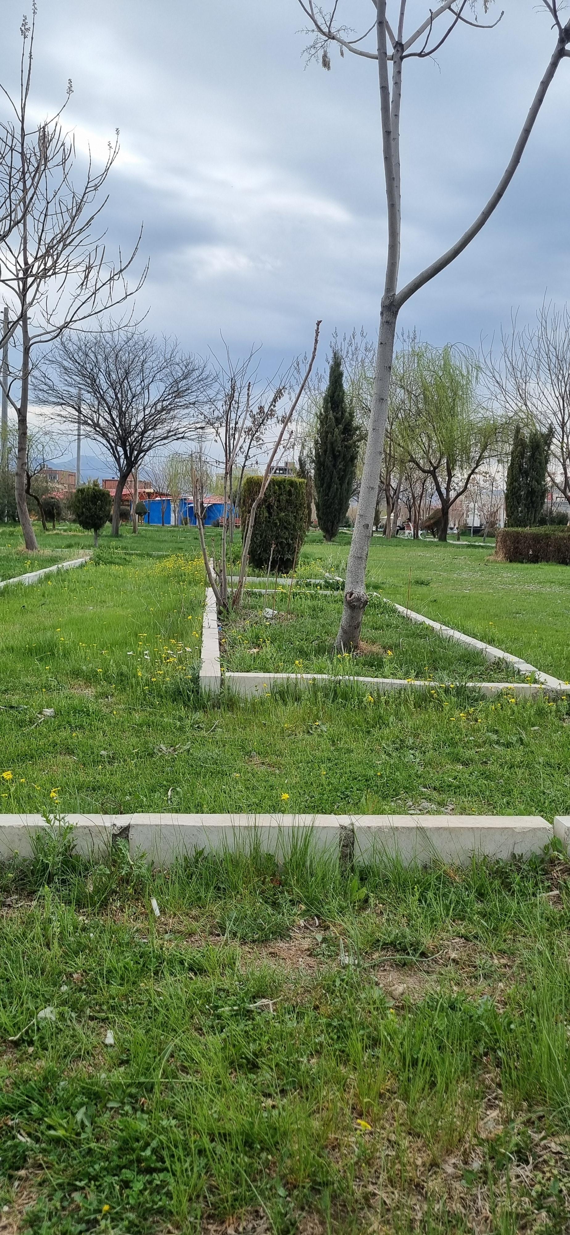 عکس پارک شانو