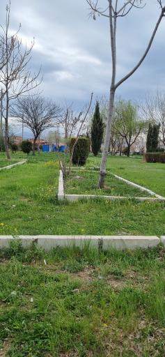 عکس پارک شانو