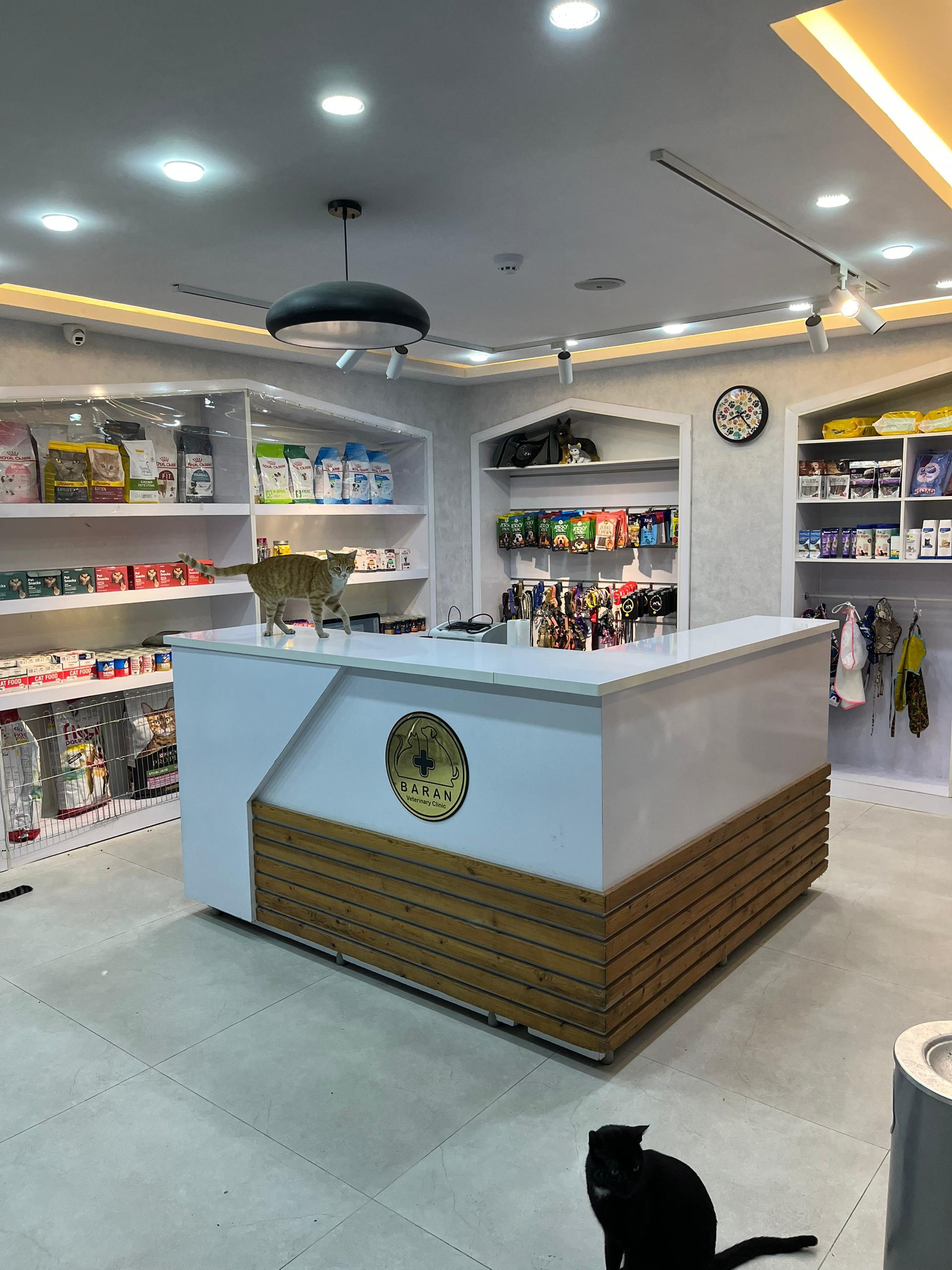 عکس کلینیک دامپزشکی باران