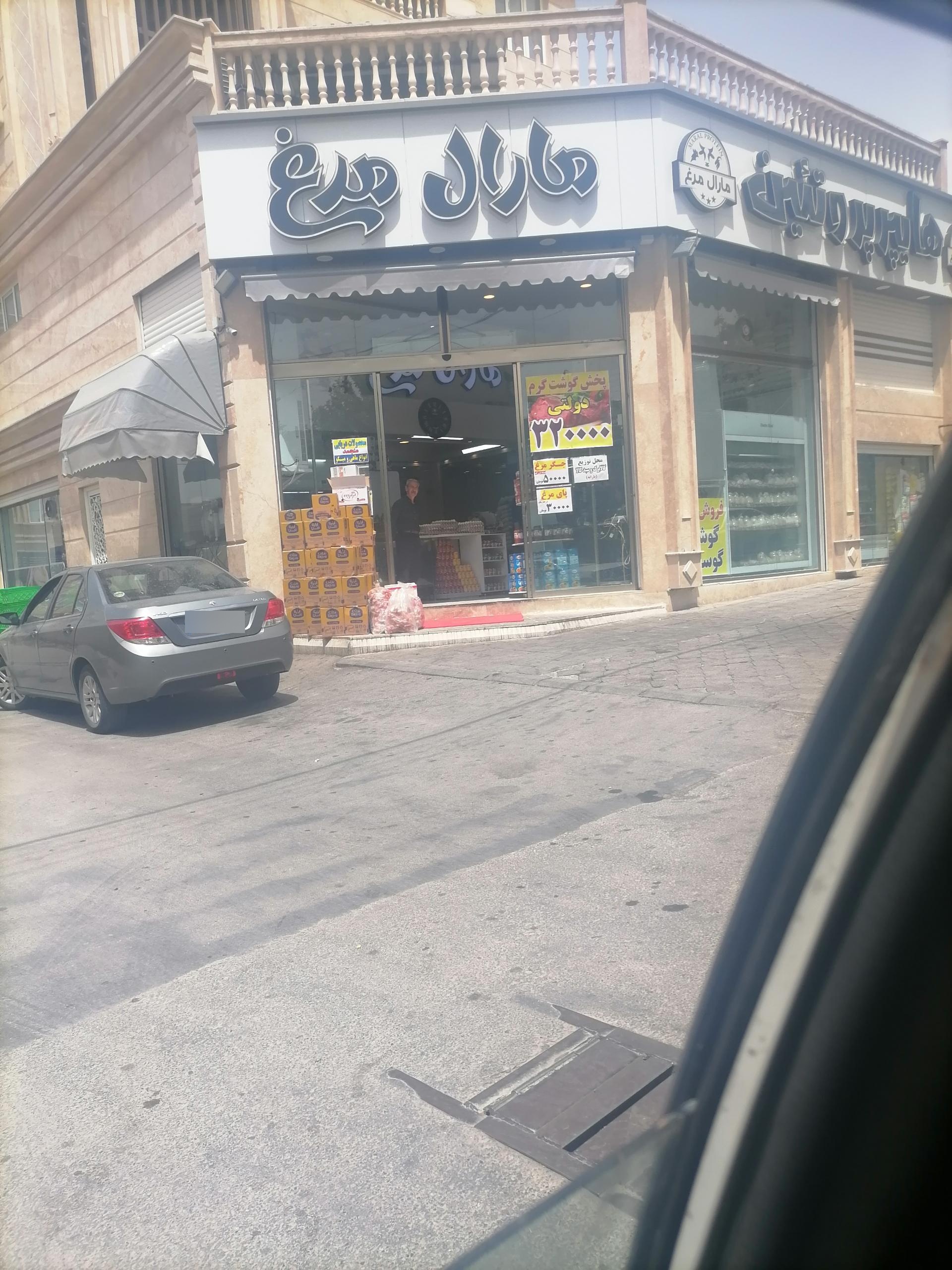 عکس مرغ مارال