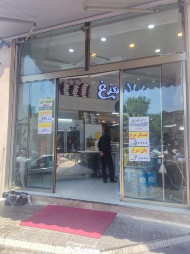 عکس مارال مرغ سهند