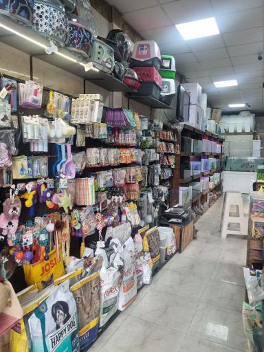 عکس کسپی پت