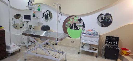 عکس کلینیک دامپزشکی دکتر نجف پور 