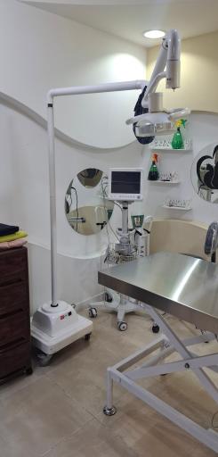 عکس کلینیک دامپزشکی دکتر نجف پور 