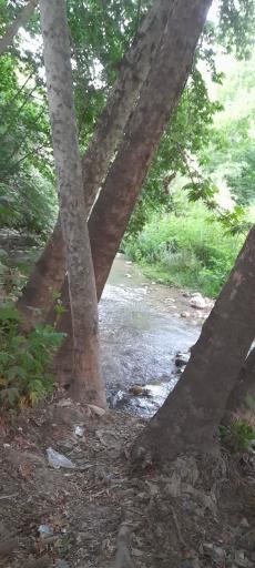 عکس باغ تفریحی سرهنگ