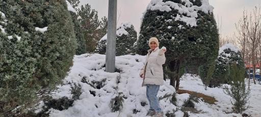 عکس پارک اراج