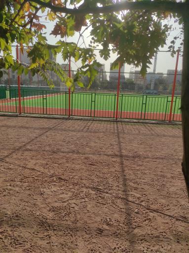 عکس مجتمع ورزشی قیانوری