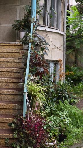 عکس کافه موزه عکس ارکاک