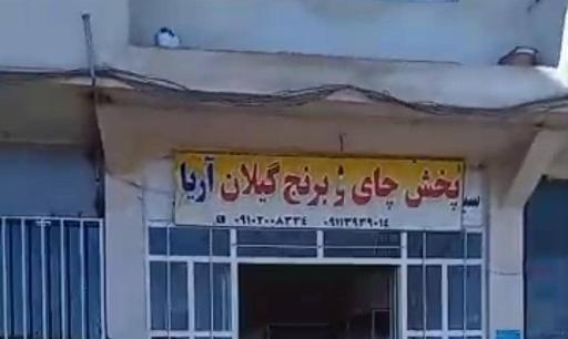 عکس پخش چای و برنج گیلان آریا