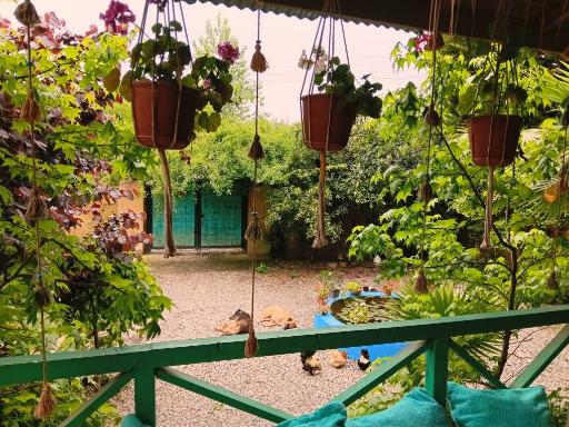 عکس اقامتگاه بومگردی جانا