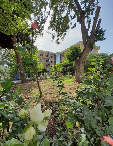 عکس دانشگاه آزاد اسلامی واحد اسلامشهر