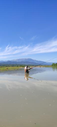 عکس رودخانه سفیدرود