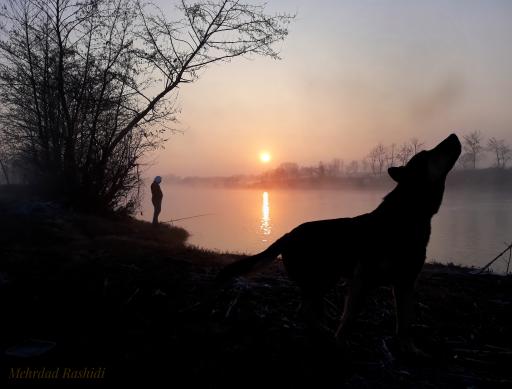 عکس رودخانه سفیدرود