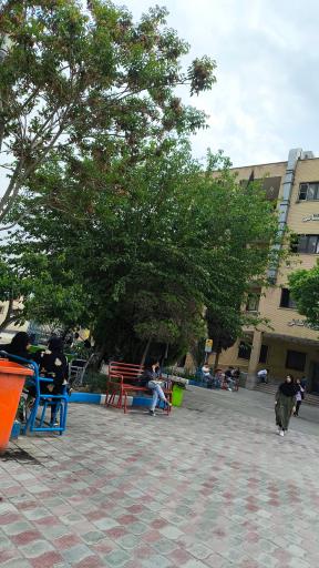 عکس دانشگاه آزاد اسلامی واحد اسلامشهر