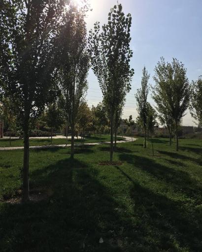 عکس پارک گلخانه