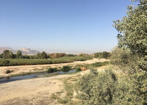 عکس پارک گلخانه