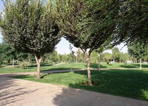 عکس پارک گلخانه