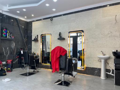 عکس پیرایش پوآرو