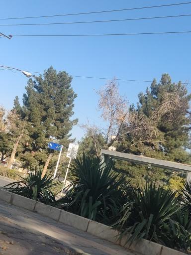 عکس  شهید رستمی 9