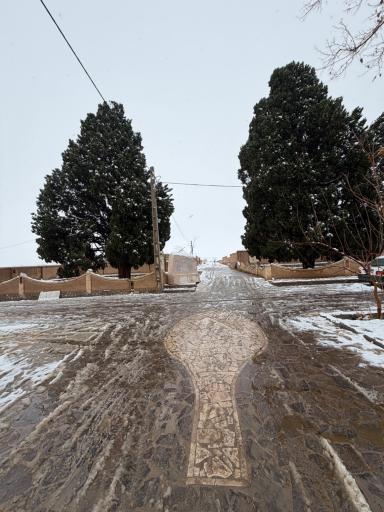عکس سروهای دوقلو مبارکه