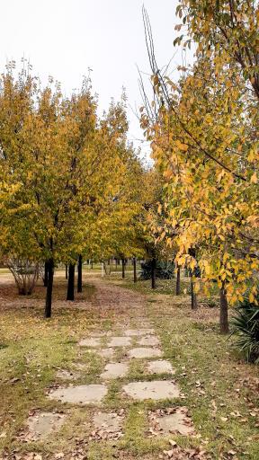 عکس پارک گلخانه