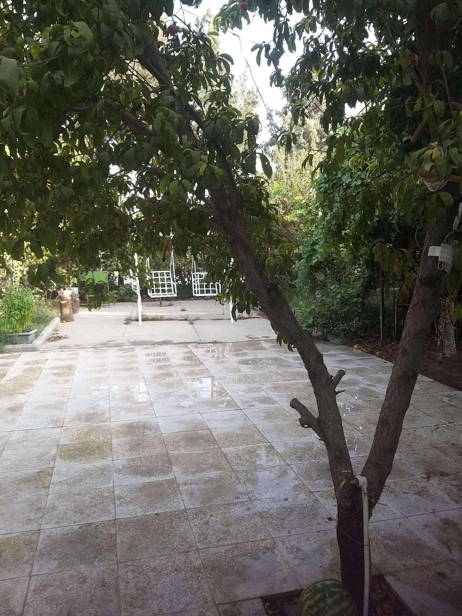 عکس باغستان شفق