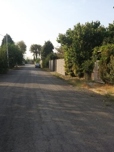 عکس باغستان شفق