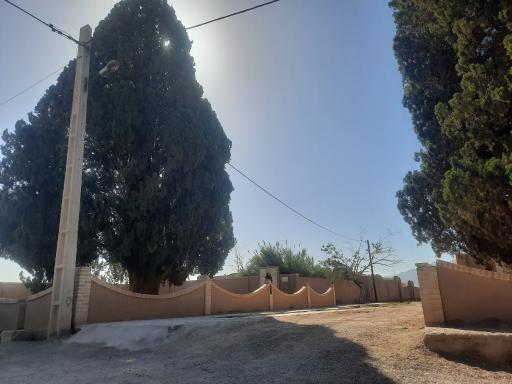 عکس سروهای دوقلو مبارکه