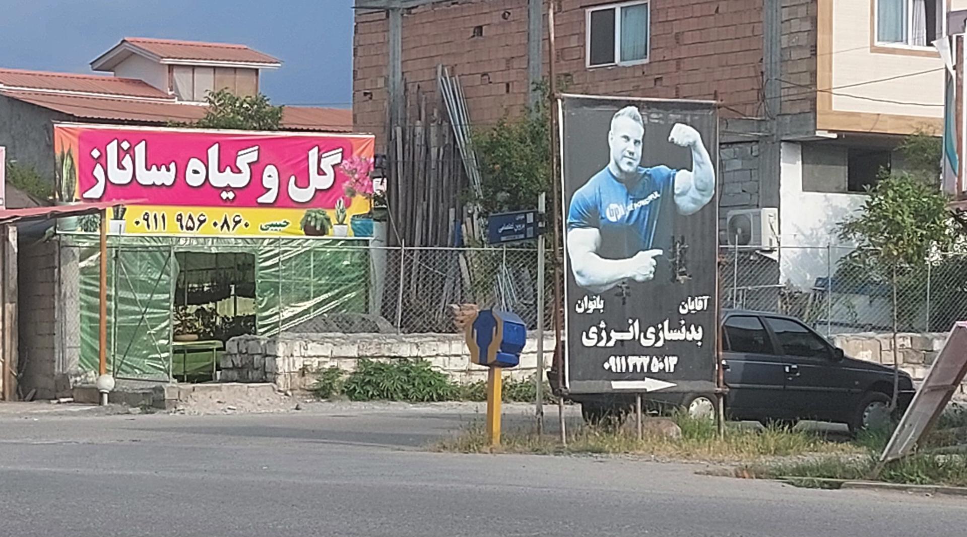 عکس گل و گیاه و بونسای ساناز