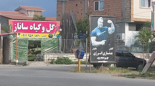 عکس گل و گیاه و بونسای ساناز