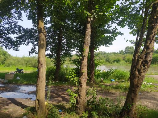 عکس رودخانه سفیدرود