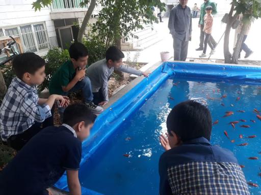 عکس دبستان پسرانه آیات