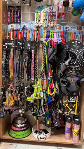 عکس پت شاپ پت طوری