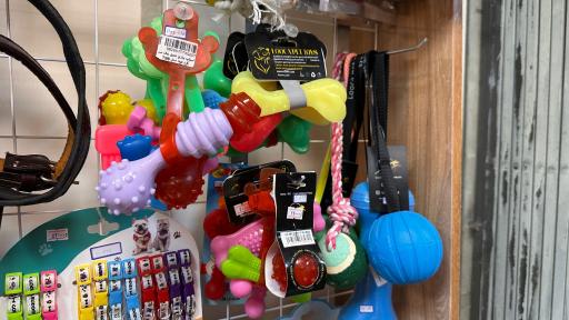 عکس پت شاپ پت طوری