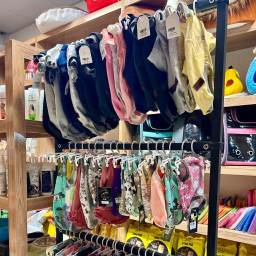 پت شاپ پت طوری