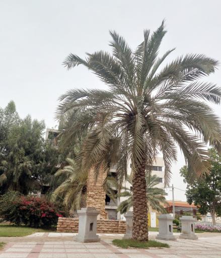 عکس پارک ژنرال