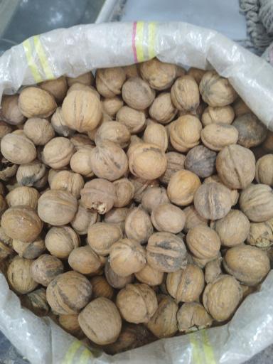 عکس پخش و توزیع عمده خشکبار پردیس