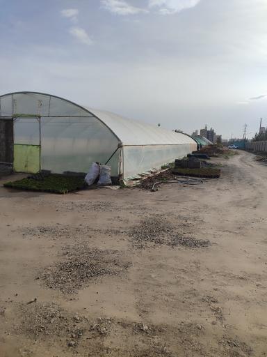 عکس گلخانه شاپرک مهندس علیرضا شفایی