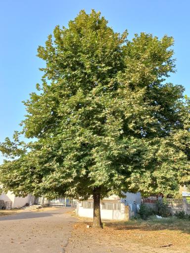 عکس مسجد جامع امام جعفر صادق (ع)