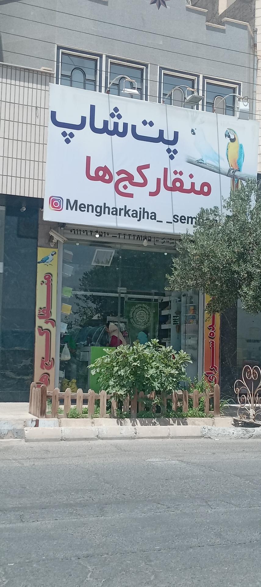 عکس پت شاپ منقار کج ها سمنان