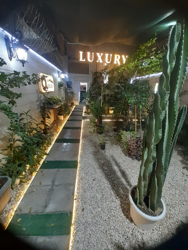 عکس آتلیه لاکچری