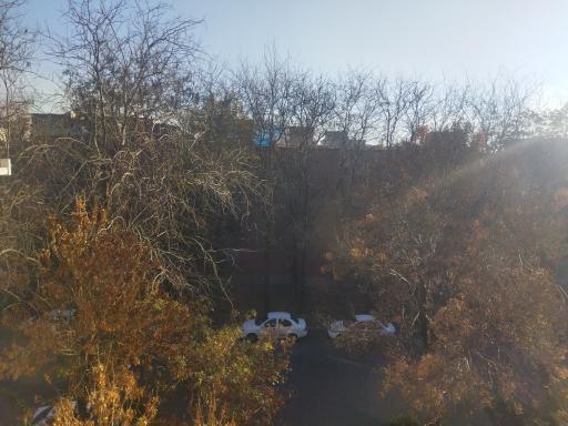 عکس پارک چمنزار