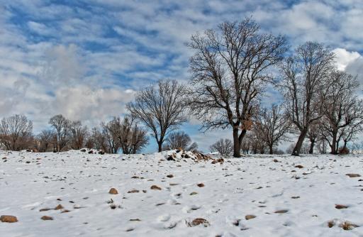 عکس منطقه تفریحی چغاسبز