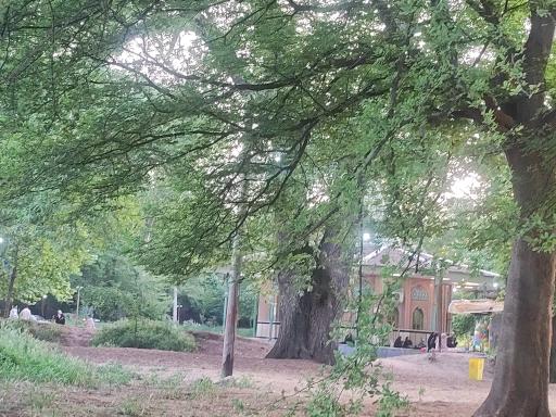 عکس امامزاده جعفر