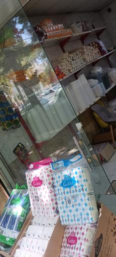 عکس خانه پلاستیک و یکبار مصرف