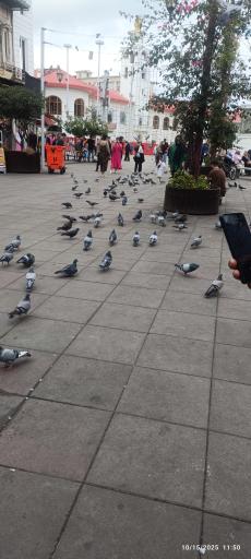 عکس بازار بزرگ رشت